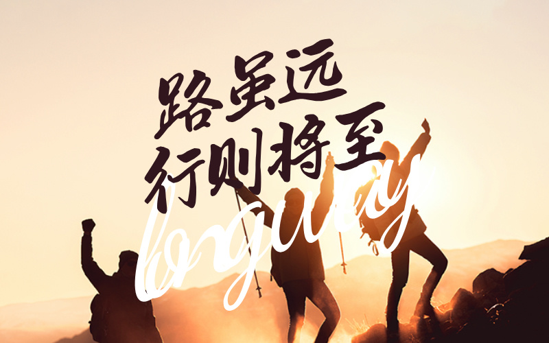 我的高考志愿规划师之路