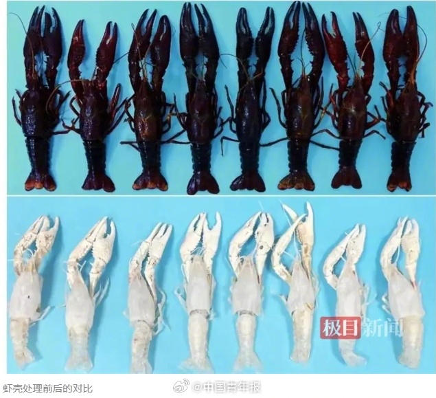 武大教授带领团队为科研狂吃小龙虾！之前曾为“天坑专业”正名 （附武汉大学各省招生计划/录取情况）