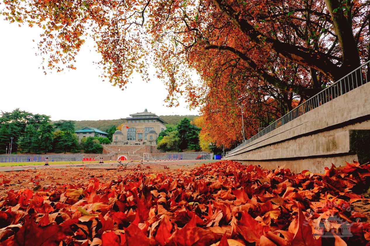 武大教授带领团队为科研狂吃小龙虾！之前曾为“天坑专业”正名 （附武汉大学各省招生计划/录取情况）