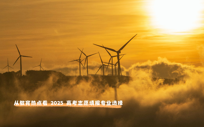从教育热点看 2025 高考志愿填报专业选择