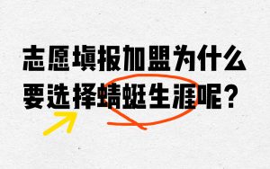 高报行业,一个千亿级市场的黄金赛道