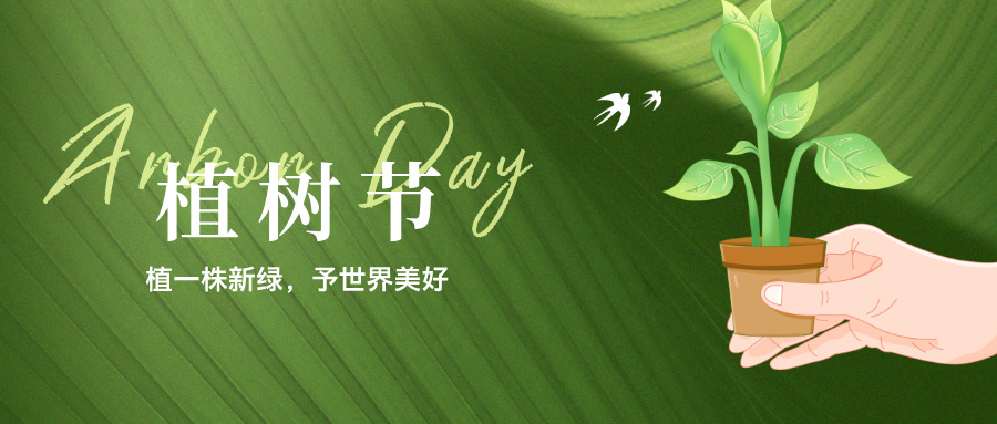 植树节与高考志愿填报：播种希望，收获未来