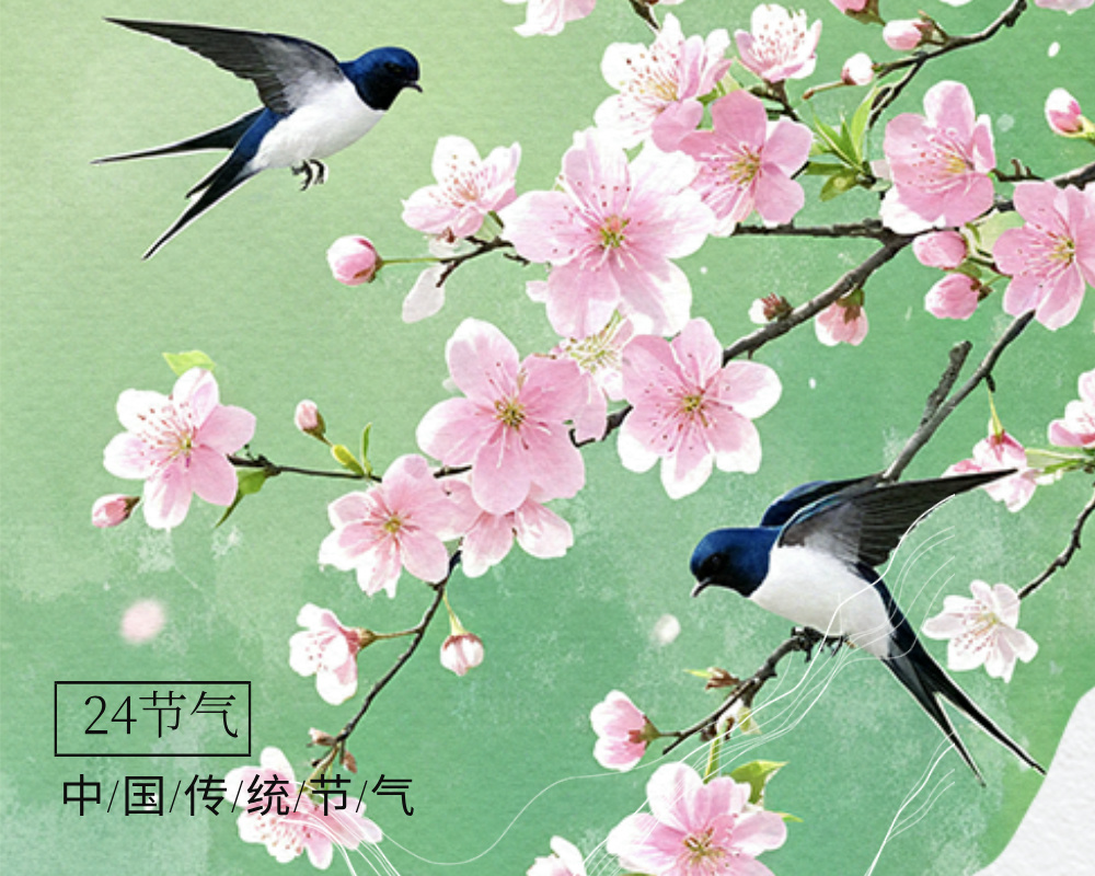 春分与高考志愿填报：平衡与选择的艺术