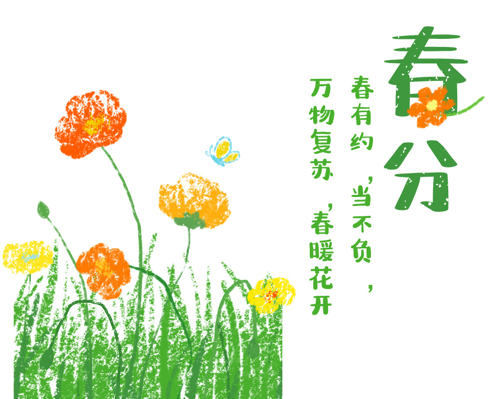 春分与高考志愿填报：平衡与选择的艺术