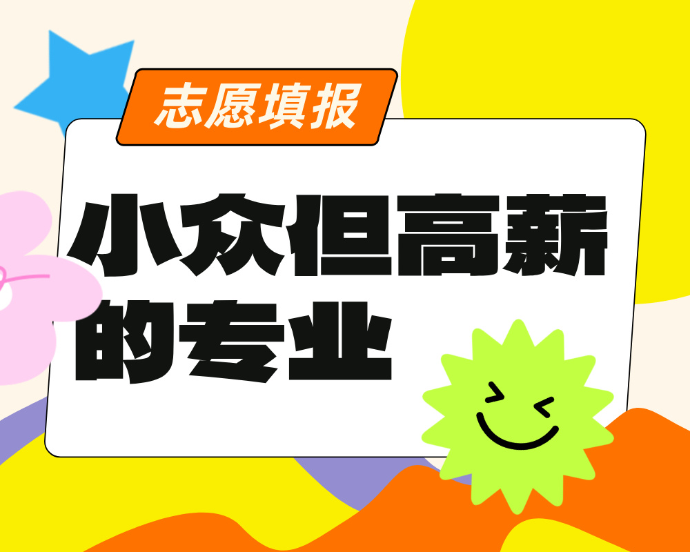 小众但高薪的专业