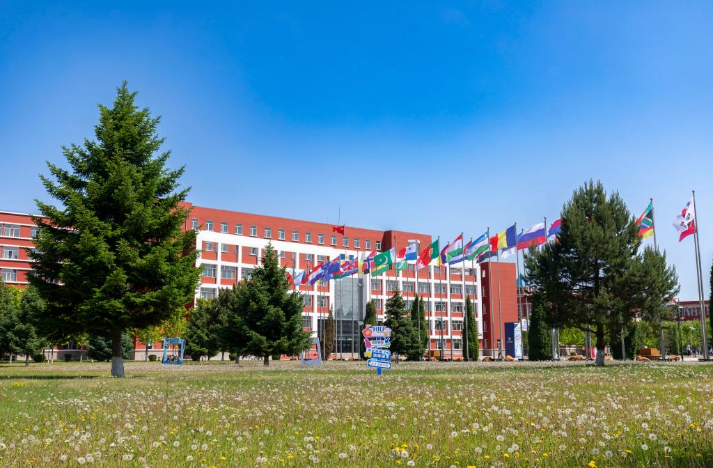 黑龙江外国语学院2025年开设 37个本科专业及方向，面向26省招生3300人