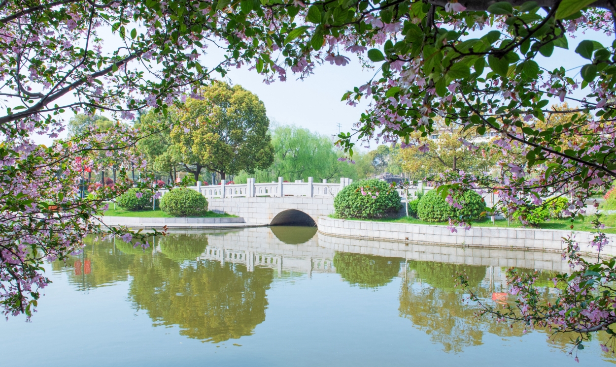 南通理工学院：面向全国23个省份招生，新增5个本科专业