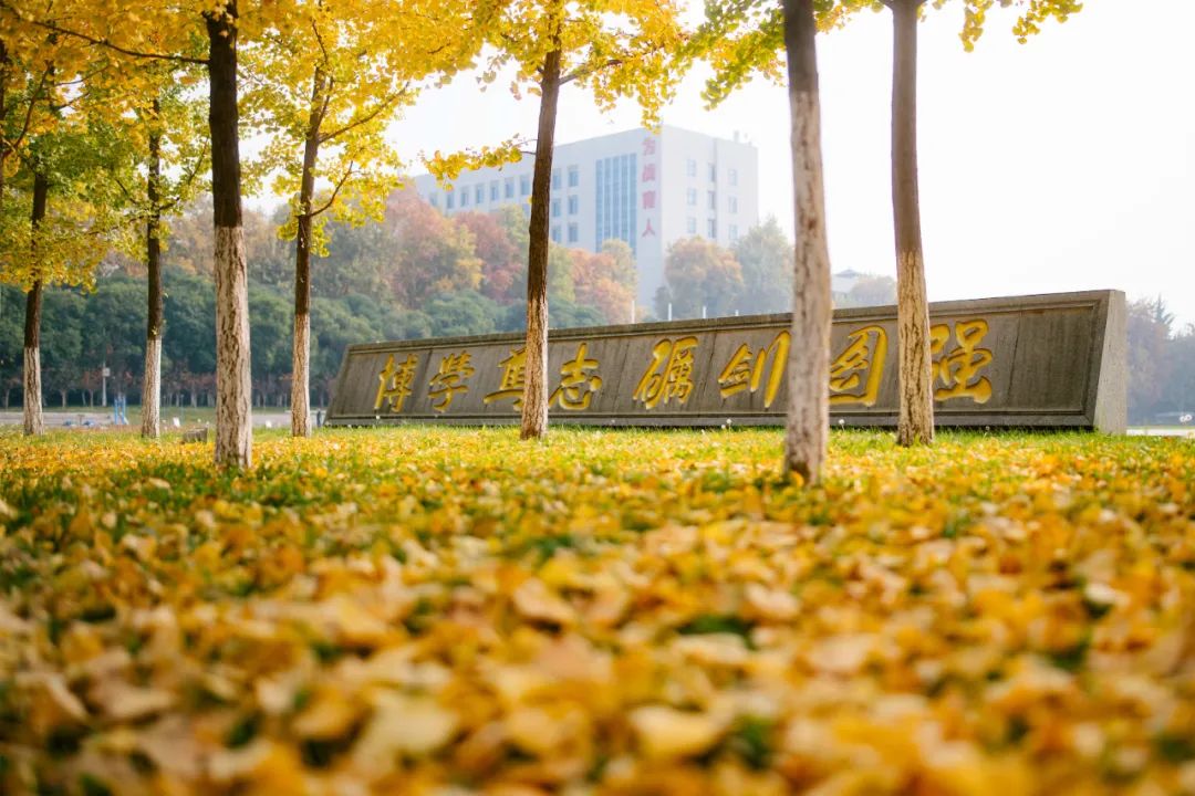 火箭军工程大学：2025年计划在全国27个省份招收普通高中毕业生共计1304人。