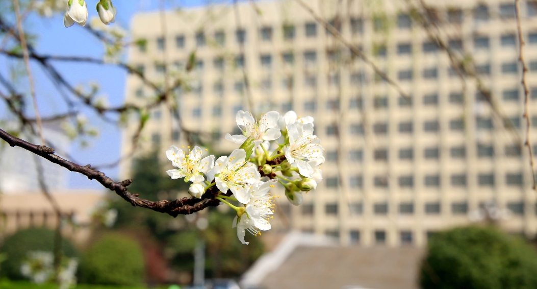 中国矿业大学徐海学院：面向18省份计划招生3120人，普通本科批次4个专业组，艺术普通批次2个专业组。