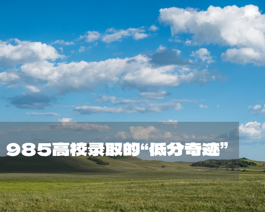 985高校录取“低分奇迹”：兰州大学、西北农林科技大学、吉林大学为何陷困境？
