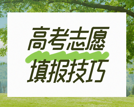 工科四大天王怎么选？计算机/电子信息/自动化/电气全解析